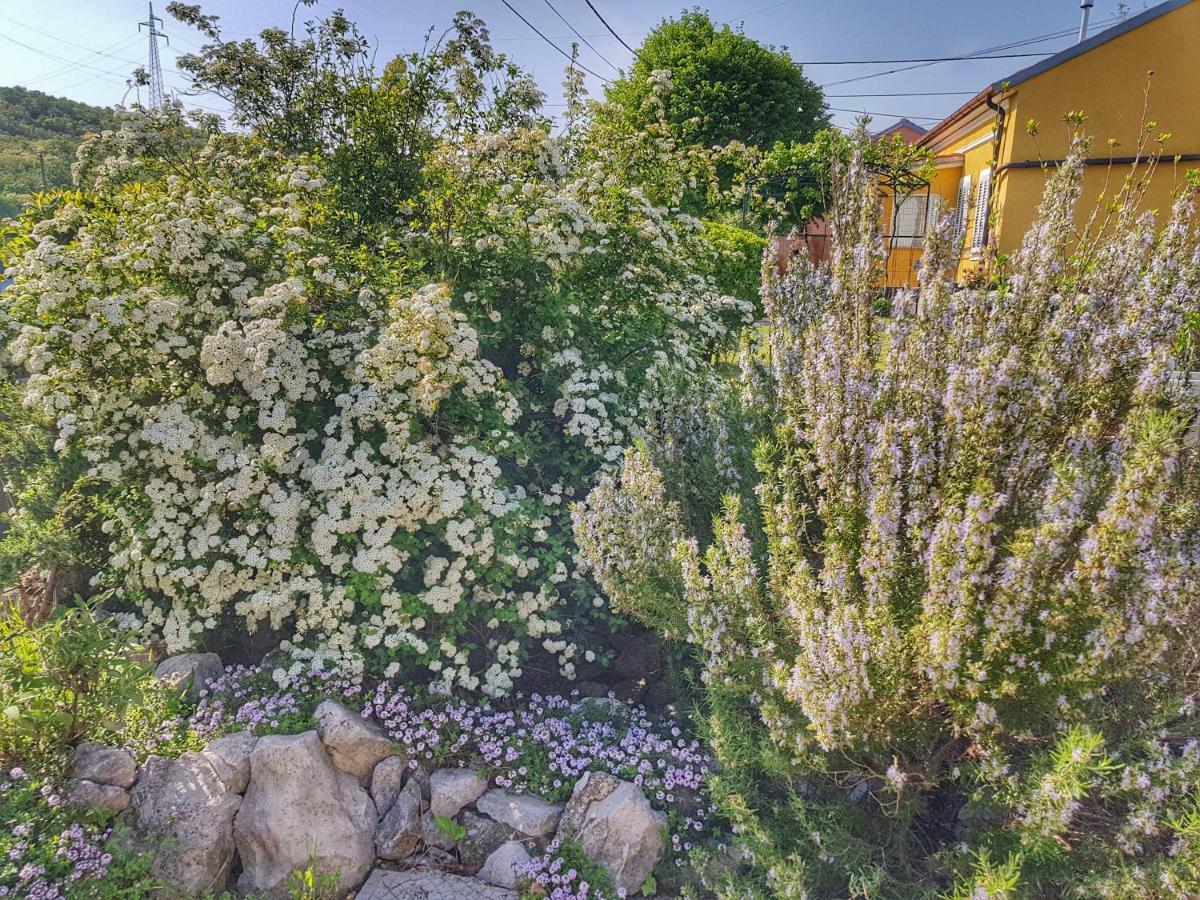 Rijeka Holiday Home Krasica  المظهر الخارجي الصورة